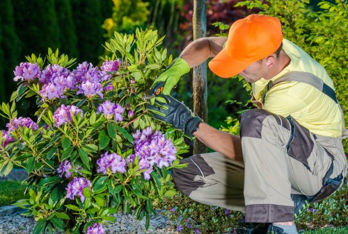 Sustainable garden features with native plants in Islington