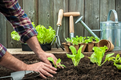 Garden waste and clearance pricing in an Islington residential street