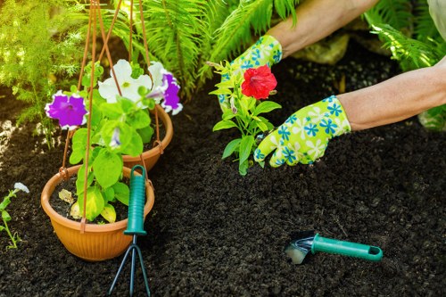 Professional landscaper assessing a garden in Islington