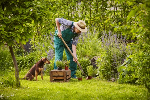 A gardener wearing a straw hat, blue apron, and checkered shirt is tending to a lush garden in a residential backyard, using a long-handled garden tool to work in the soil or flower bed. The garden features a well-maintained grass lawn, with a small wooden planter box containing potted plants placed on the grass. Tall flowering plants with purple blossoms and leafy green shrubs surround the area, creating a vibrant, natural environment. A brown dog sits attentively nearby, watching the gardener's activities. In the background, mature trees and dense foliage provide shade and privacy, with dappled sunlight filtering through the leaves, indicating a bright, clear day. This scene exemplifies professional gardening and landscaping efforts typical of local outdoor maintenance services in Islington, blending natural garden elements with care and precision, suited for both front and back garden spaces.