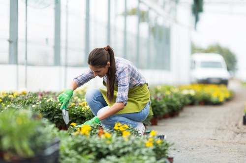 A woman dressed in a plaid shirt, blue jeans, and green gardening gloves is kneeling on a paved pathway in a greenhouse or garden centre, tending to colorful flower beds. She is using a small hand trowel to plant or prune yellow and purple flowers arranged in neatly bordered flower beds. The garden features well-maintained, vibrant plants with lush green foliage, set against a background of glass panels allowing natural light to illuminate the area. A white vehicle is visible in the distant background outside the greenhouse, suggesting a semi-urban or suburban setting near Islington. The outdoor environment appears bright and mild, ideal for gardening activities, and the scene exemplifies professional gardening services focused on flower bed maintenance and cultivation, supporting eco-friendly and aesthetically pleasing outdoor spaces in London area gardens and landscaped yards.