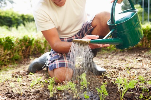 A person wearing a light beige t-shirt and plaid shorts is kneeling on the soil in a garden, watering young green plants with a green watering can. The garden features a well-maintained lawn area in the background, along with neatly trimmed hedges and a variety of small plants and seedlings expanding across the freshly tilled soil. The scene appears to be outdoors on a clear day, with sunlight illuminating the garden and providing natural light for gardening activities. The soil is dark and moist, indicating recent watering, and the plants are small with broad green leaves, suggesting early growth stages. This outdoor garden setup exemplifies typical landscaping and garden maintenance practices undertaken by professionals like those from Landscapers Islington, ensuring lush, healthy plant development in urban garden spaces within the London area or nearby postcode regions, supporting local gardening and landscaping services.