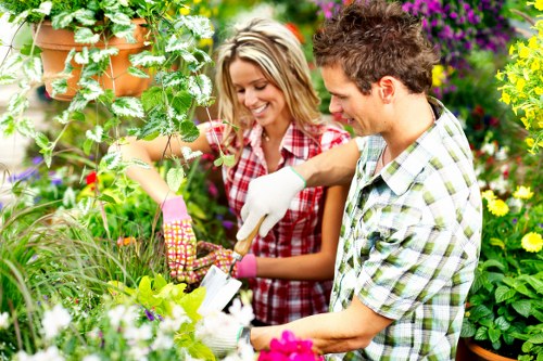 Professional landscaper planning a garden design