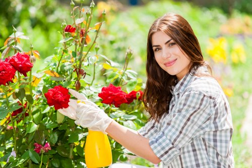 A young woman with long brown hair, dressed in a light checkered shirt and white gardening gloves, is tending to vibrant red roses in a well-maintained garden, with lush green foliage and a variety of flowering plants in the background. She is holding a yellow spray bottle in her right hand while carefully inspecting or pruning the rose bushes. The garden features a mix of dense shrubs, flowering plants with bright colours, and neatly edged flower beds. The scene is illuminated by natural daylight, suggesting a clear, sunny day. The setting appears to be a typical residential garden in Islington, London, with the garden soil and paved pathways subtly visible. This outdoor space is part of a landscaped backyard or front garden area that could benefit from regular gardening services offered by local landscapers such as Landscapers Islington, emphasizing detailed plant care and garden maintenance typical of professional gardening in the area.