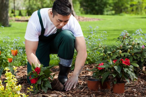 Eco-friendly lawn care practices in Islington