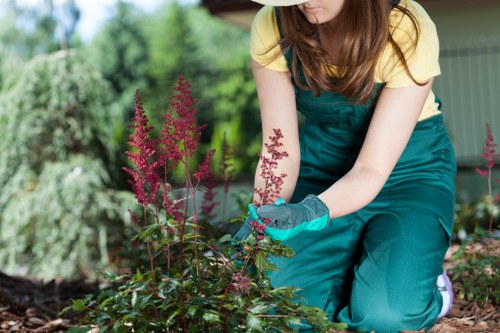 A woman in a yellow t-shirt and teal gardening apron is kneeling in a landscaped garden in Islington, tending to a flower bed filled with pink and purple flowering plants. She is wearing gardening gloves and appears to be examining or pruning the plants. The garden features a neatly maintained lawn area with dense, green foliage, various shrubs, and small trees in the background, creating a lush, natural setting. The ground around the garden bed is covered with dark, rich soil, contrasting with the bright green grass. The overall scene depicts a well-kept outdoor space suitable for gardening and landscaping services, with natural daylight illuminating the area, emphasizing the vibrant colours and textures of the plants, soil, and foliage. Landscapers Islington offers professional gardening and garden maintenance, including flower bed care and outdoor landscaping enhancements in the local area.