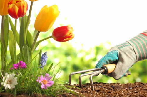 Tools and equipment used in garden clearance