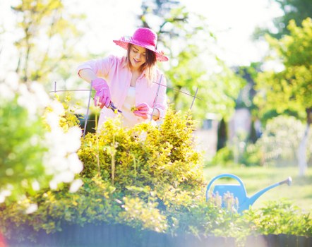Healthy soil preparation for landscape gardening in Islington's urban gardens