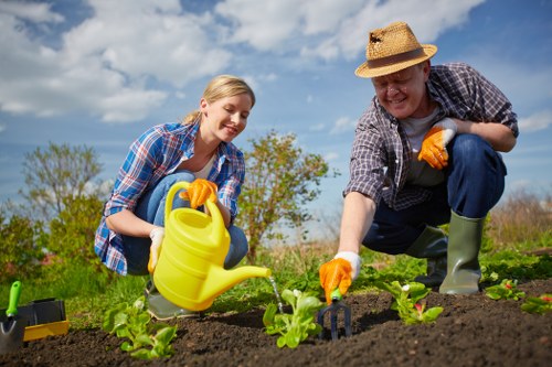 A woman and a man are working together in a garden, planting young green lettuce seedlings in dark, well-tilled soil with neat rows. The woman is wearing a blue plaid shirt and yellow gardening gloves, holding a yellow watering can to water the young plants, while the man, wearing a straw hat, grey plaid shirt, and matching gardening gloves, is using a small hand tool to tend to the soil around the seedlings. The garden is situated outdoors under a bright, partly cloudy sky, with a background of trees and shrubs in natural tones of green and brown, indicating a healthy, maintained outdoor space typical of residential gardens in Islington. The area appears organized and well-kept, reflecting professional gardening practices, with the natural sunlight enhancing the vibrant colours of the seedlings and the gardening apparel. This scene exemplifies sustainable gardening and outdoor maintenance efforts that a landscaping company like Landscapers Islington might undertake in local gardens, promoting environmental care and responsible planting practices.