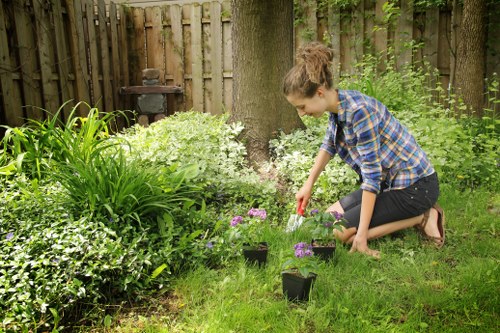 Gardener shaping a hedge in Islington
