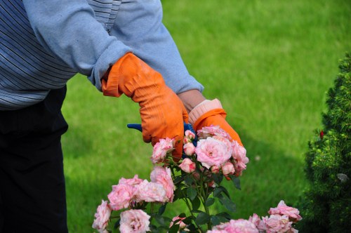 A person wearing an orange gardening glove and a grey long-sleeved shirt is pruning or tending to pink flowering roses in a well-maintained garden. The rose bushes are densely covered with large, soft pink blossoms and lush green foliage. The garden features a vibrant, neatly clipped lawn with rich green grass surrounding the flower beds, which are bordered by dark mulch or soil. In the background, there is a small, rounded shrub with dark green leaves, and part of a paved pathway or patio area is visible. The scene appears to be outdoors on a clear day, with natural sunlight illuminating the plants and garden environment, illustrating typical gardening activities suitable for professional landscapers in the Islington area.