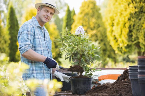 Professional lawn mowing services in Islington