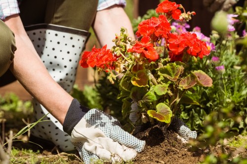 Professional garden maintenance team working in an Islington garden