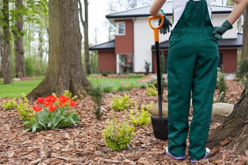 In a residential garden setting within Islington, a gardener dressed in green overalls is holding a shovel with an orange handle while working near a large tree. The garden features a well-maintained lawn, flowerbeds with bright red tulips, and neatly trimmed green shrubs. The foreground shows a mulch-covered area around the base of the tree, with a variety of small plants and a natural, textured soil surface. In the background, a modern two-storey house with a dark roof and large windows is visible, framed by tall, leafless trees indicating early spring or late autumn. The scene is illuminated by natural daylight, suggesting an overcast or partly cloudy sky, providing a clear view of the outdoor space that highlights landscape gardening and outdoor maintenance work typical of professional services such as those by Landscapers Islington. The image captures the careful arrangement of garden elements, ensuring a tidy, attractive outdoor environment suitable for regular landscaping and garden care tasks.