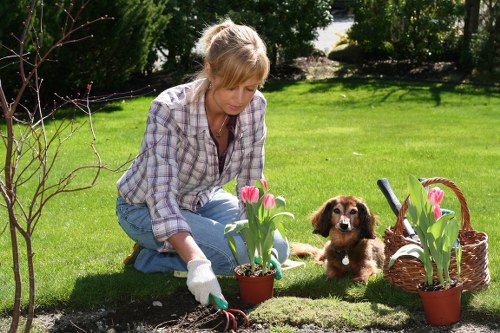 A woman with blonde hair, dressed in a checkered shirt and blue jeans, is kneeling on a well-maintained grassy garden lawn, engaged in gardening activities. She is wearing white gardening gloves and appears to be planting or tending to pink tulips in a small terracotta pot. To her right, there is a small, brown, long-eared puppy sitting attentively on the grass, looking towards the camera. Nearby, there is a woven basket containing additional pink tulips, and a rake resting on the ground. The garden features a lush, green lawn with a backdrop of trees and shrubs, creating a natural and inviting outdoor environment. The scene is well-lit, indicating a bright, possibly sunny day, with shadows cast by the garden plants and structures. This setting reflects a typical landscaped backyard or front garden in Islington, emphasizing the green space upkeep offered by professional landscapers such as Landscapers Islington, focusing on garden maintenance, planting, and outdoor aesthetic enhancements.