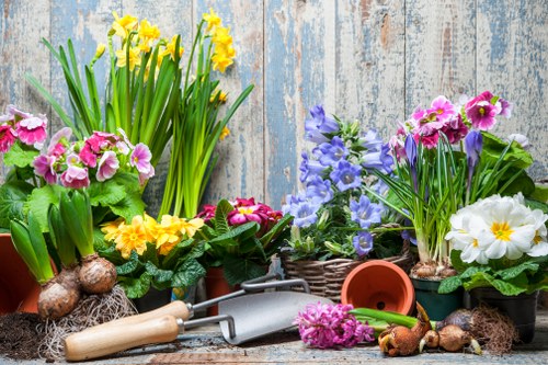 Choosing the right lawn mower for your garden